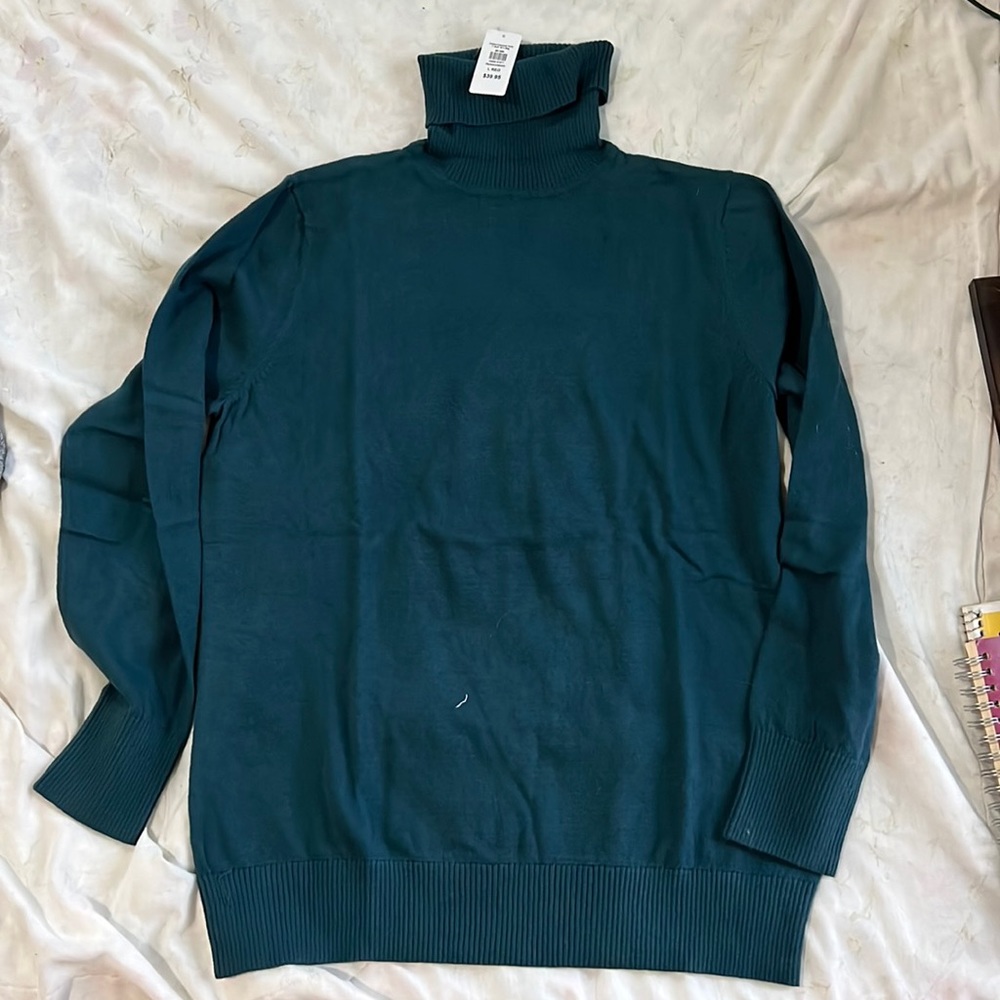 LLBean turtleneck sweater, cotton/cashmere blend